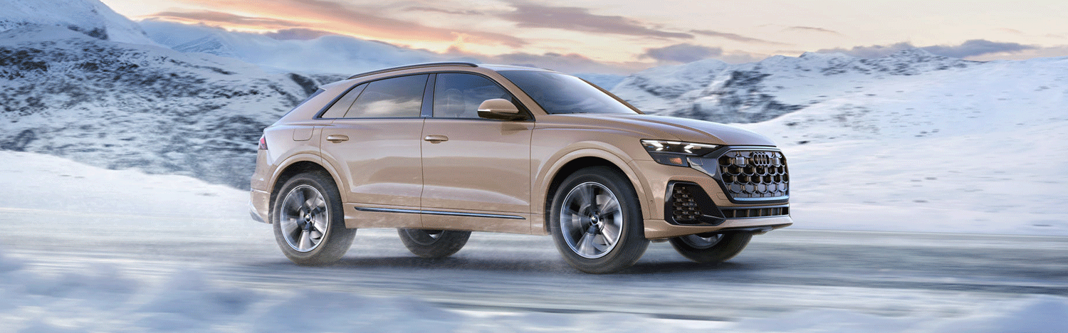 2025 Audi Q8 Exterior