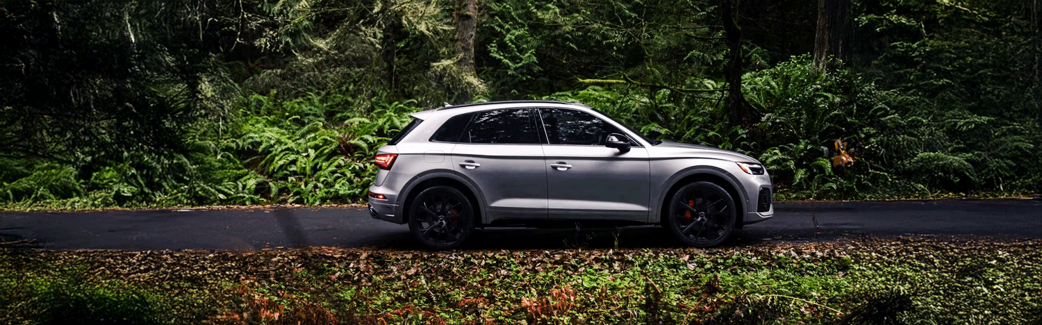 2025 Audi SQ5 Exterior